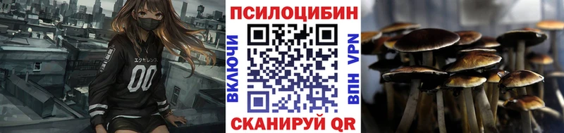 blacksprut вход  купить наркотики цена  Таштагол  Псилоцибиновые грибы Cubensis 